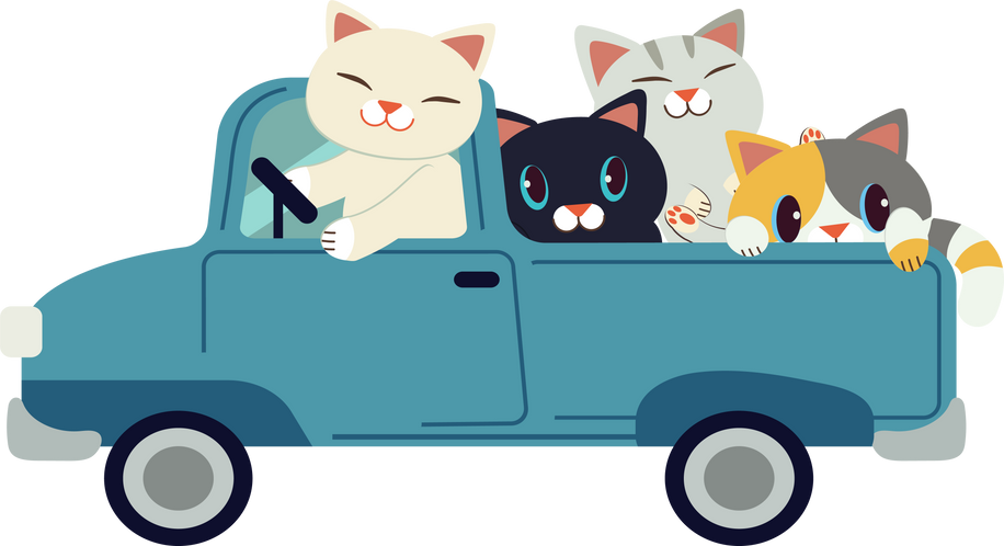 The Collection of the Cat Driving a Car Set in Flat Vector Style. Graphic Resource Graphic,Content , Banner, Sticker Label and Greeting Card.